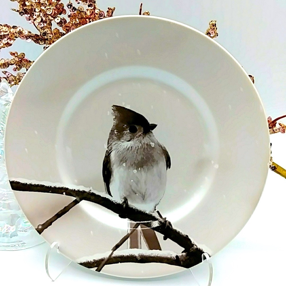 🦉HP! Pier 1 Winter Snowy Tufted Titmouse Bird on a Branch. Salad/ Accent Plate